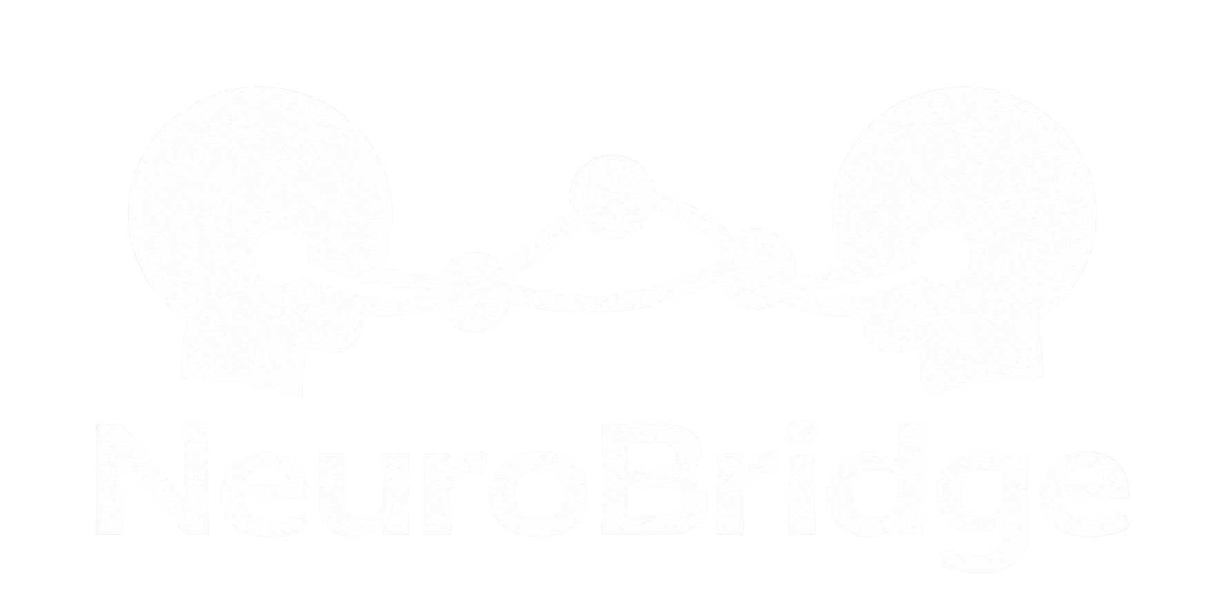 NeuroBridge logo